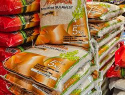 Bulog Perluas Distribusi Beras Premium ke Ritel Modern, Pastikan Stok dan Harga Terjaga